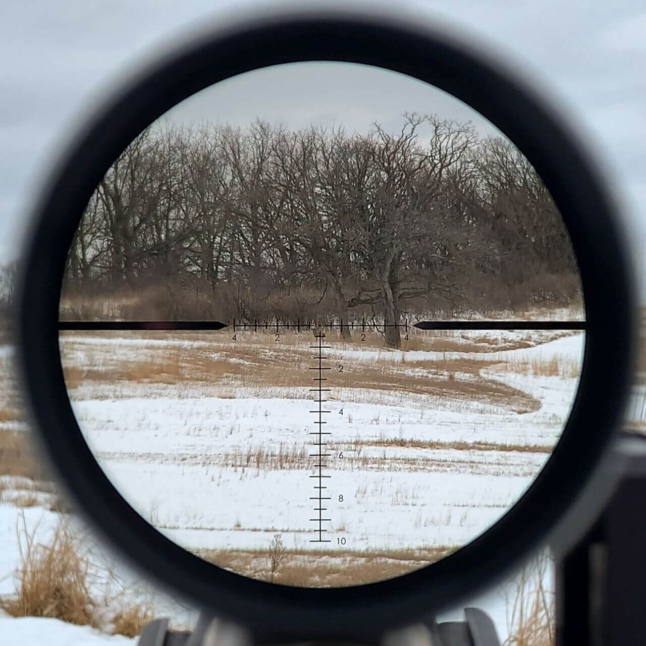 Durch ein Zielfernrohr blickend, ist eine schneebedeckte Landschaft mit kahlen Bäumen sichtbar, die von einem Fadenkreuz erfasst wird.