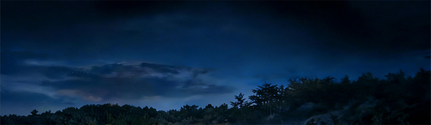 Mystischer Wald bei Nacht mit tiefblauem Himmel