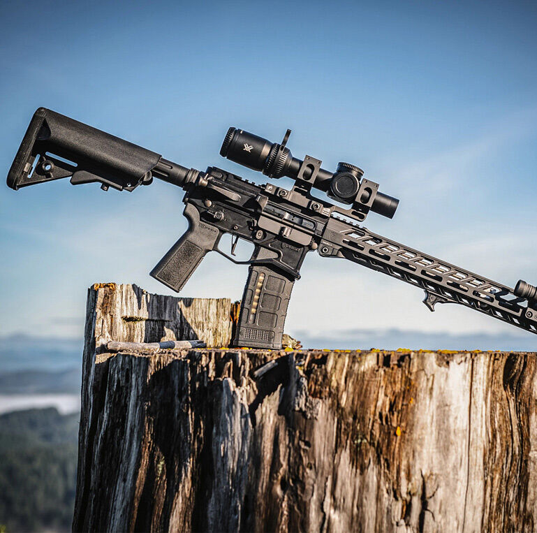 Ein modernes Gewehr mit Zielfernrohr liegt auf einem Baumstumpf vor blauem Himmel.