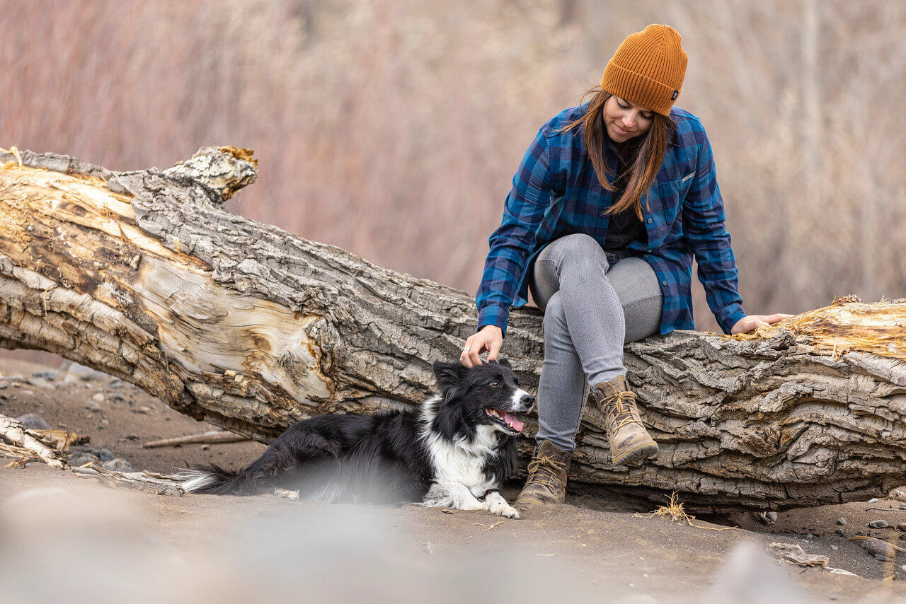 Eine Frau in Freizeitkleidung sitzt auf einem Baumstamm und streichelt einen Border Collie in natürlicher Umgebung