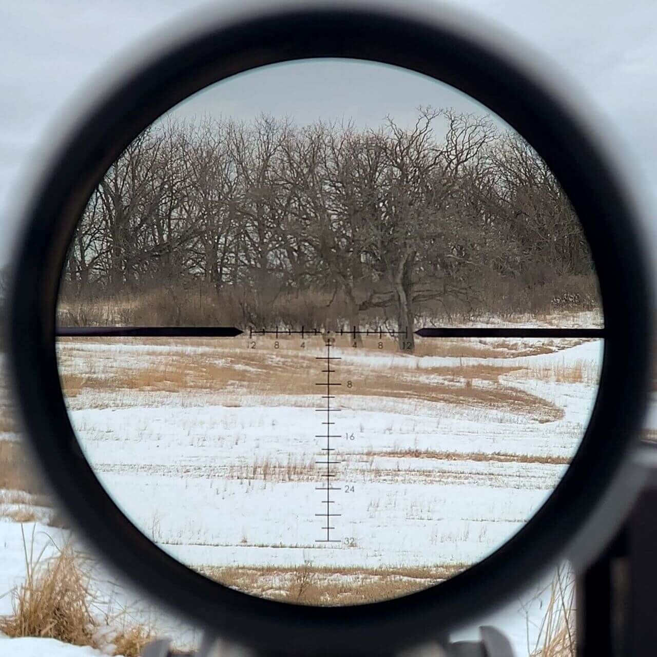 Blick durch ein Zielfernrohr auf ein schneebedecktes Feld und kahle Bäume im Hintergrund