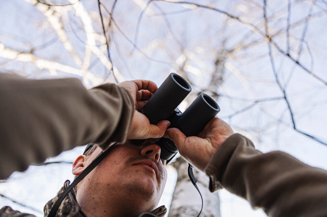 Eine Person im Wald schaut durch ein Fernglas in die Bäume.