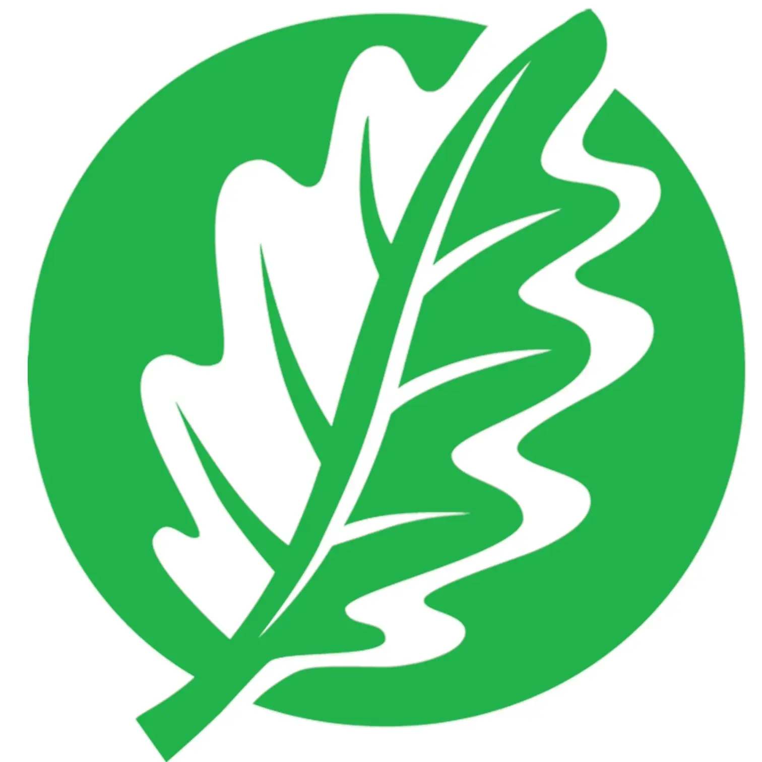 Grünes Logo mit stilisiertem Blatt als Kennzeichnung für ökologische, nachhaltige Produkte